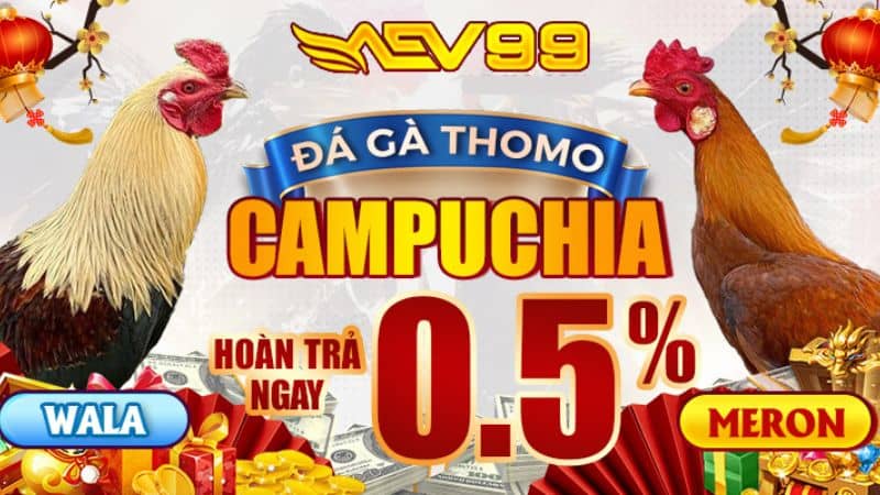 Những ưu điểm khi tham trực tiếp đá gà AEV99